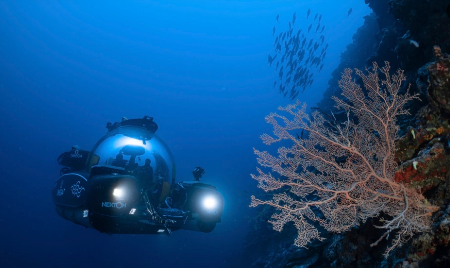 Ngrohja globale rrezikon ekzistencën e ishujve Maldive