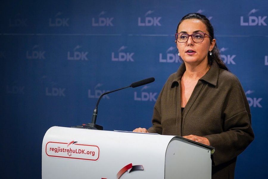 LDK: Qeveria menjëherë të gjejë zgjidhje që të nis procesi mësimor