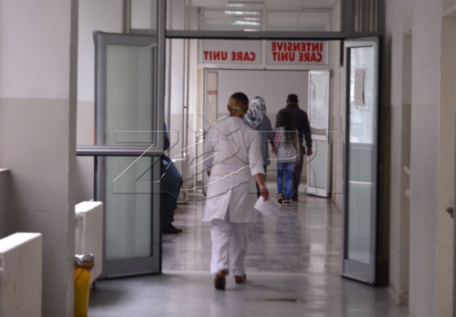 Mjekët nga diaspora të gatshëm për bashkëpunim