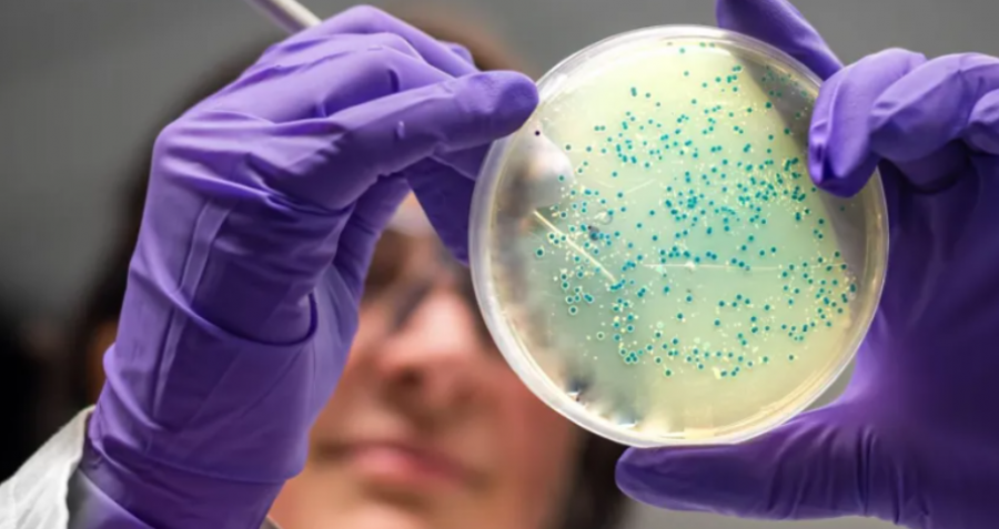 Antibiotikë inteligjentë: Dy ilaçe të reja, sukses në testet laboratorike