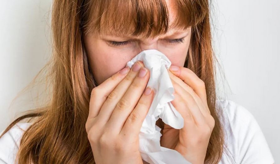 Teshtima gjatë verës: Kur një ftohje mund të jetë alergji?