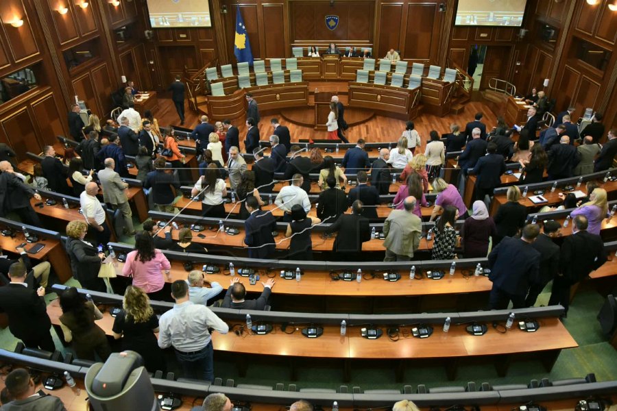 Deliu-Kodra: LVV-ja po përdor kandidatura të dështuara për të vazhduar bllokadën politike
