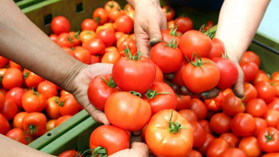 AUV: Ngarkesat me pesticide të ndaluara në Kroaci s’janë futur në tregun tonë