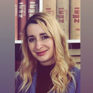 Kur drejtshkrimi tradhton profesionalizmin mediatik 