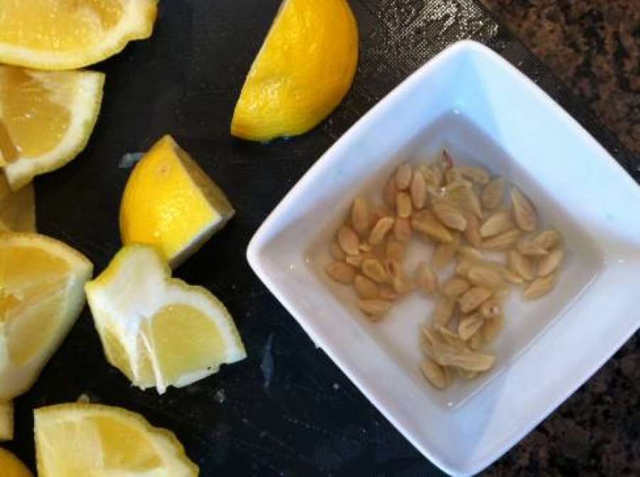 Farat e limonit, zgjidhja për dhimbjet e forta të kokës