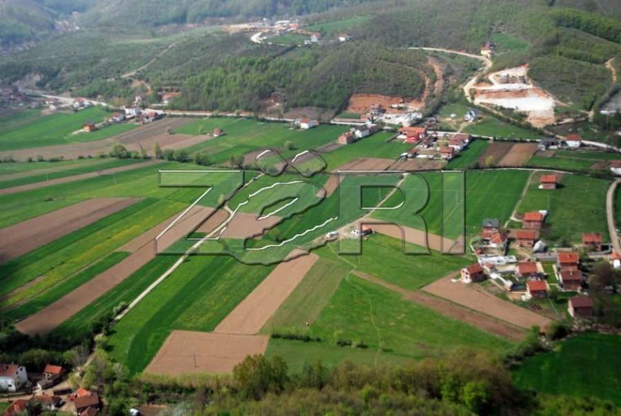 Sivjet Kosova pret rendimente të ulëta të grurit