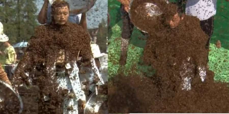 Kinezi mbulohet me 637 mijë insekte