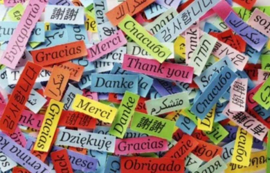 Sa e dinë zviceranët dhe shqiptarët gjuhën angleze