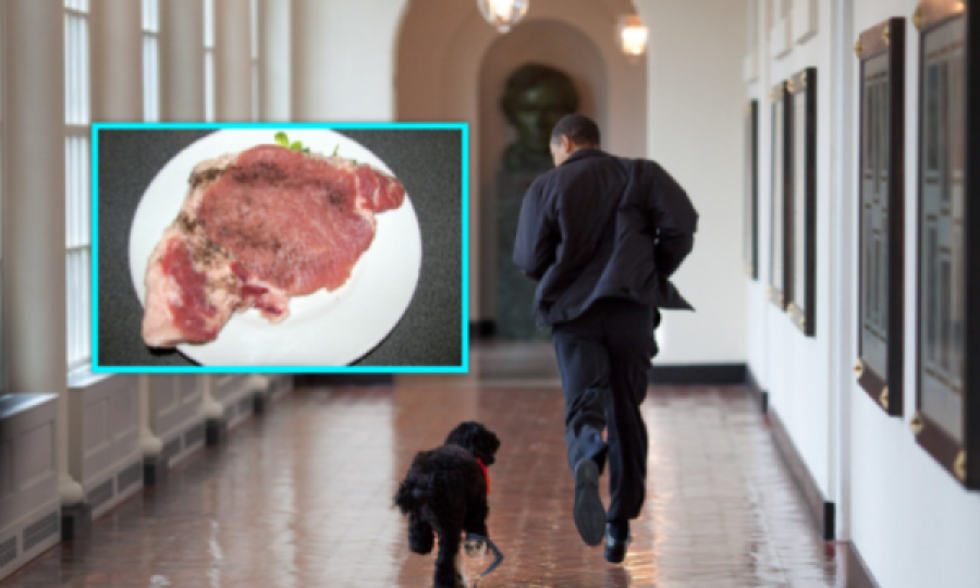 Presidenti që u rrit duke ngrënë mish qeni, gjarpri dhe karkaleca të pjekur