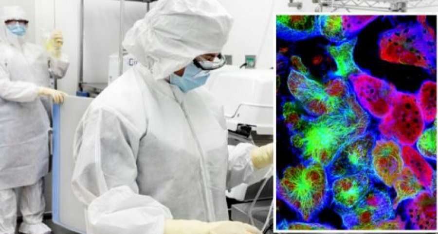 Krijohet një virus që shëron çdo lloj kanceri