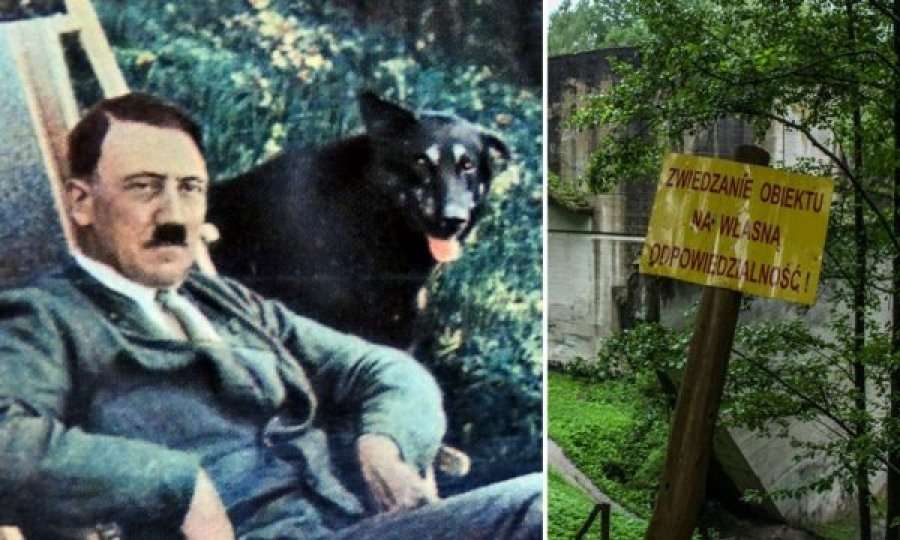 “Strofulla e ujkut”, zbulohet kopshti personal i Hitlerit