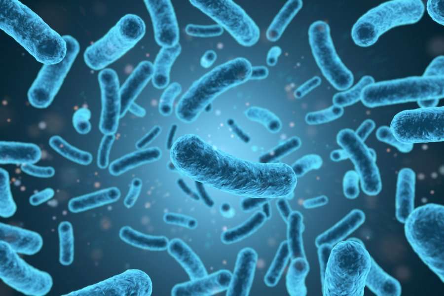 Tre viktima dhe mbi 200 të infektuar nga listeria
