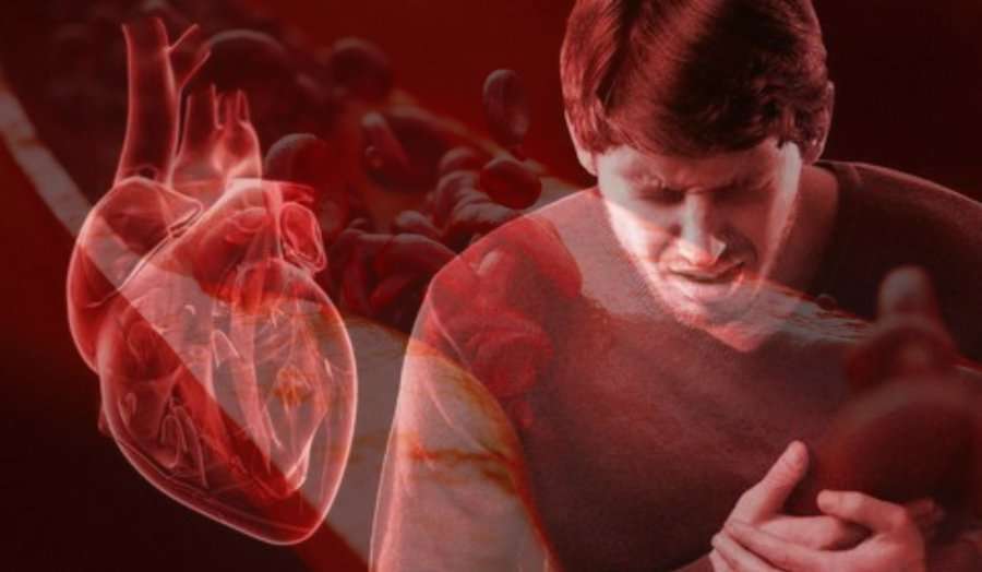 Gjeni i humbur: Pse njerëzit janë specia e vetme që preket nga goditja në zemër