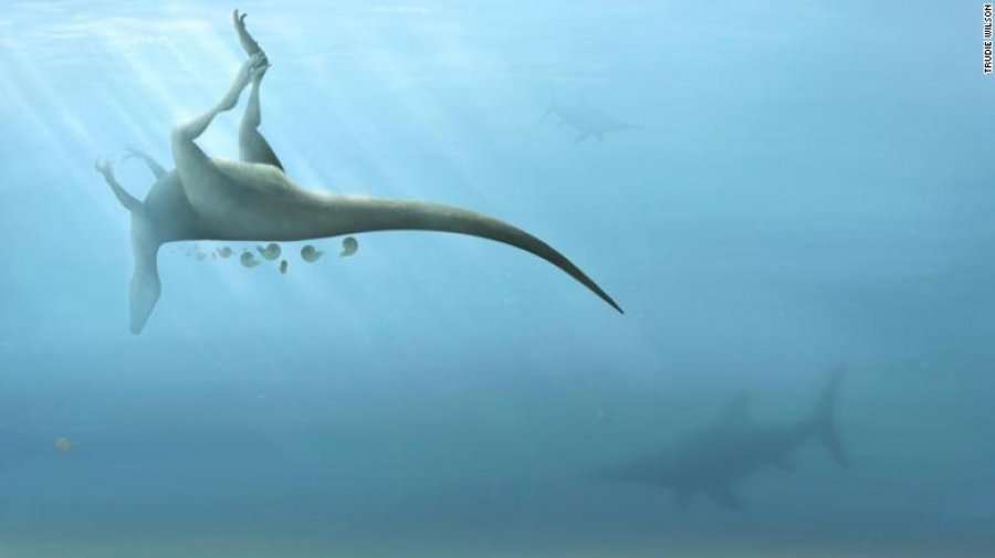 Zbulohen specie të reja dinozaurësh nga shkencëtarët në Angli