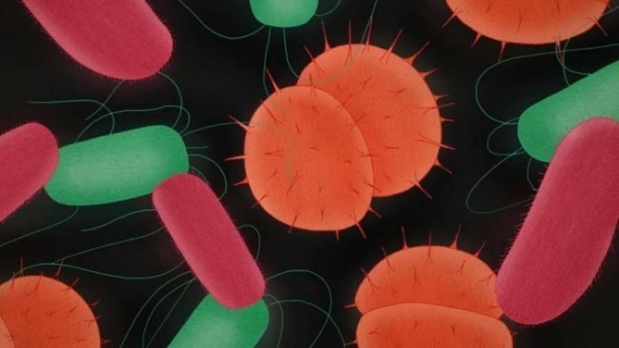 Super antibiotikët e rinj reduktojnë vdekshmërinë nga 50-10%