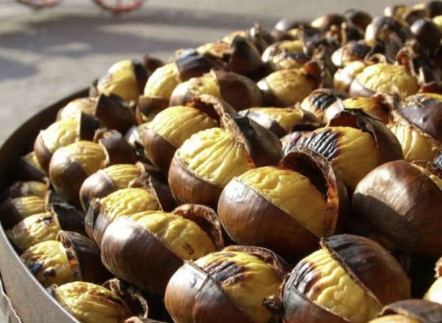 Mësoni mrekullinë që bëjnë gështenjat për shëndetin tonë, konsumoni sa më shumë!