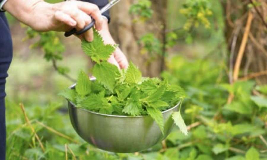 Hithra dhe limon për trajtimin e pagjaksisë
