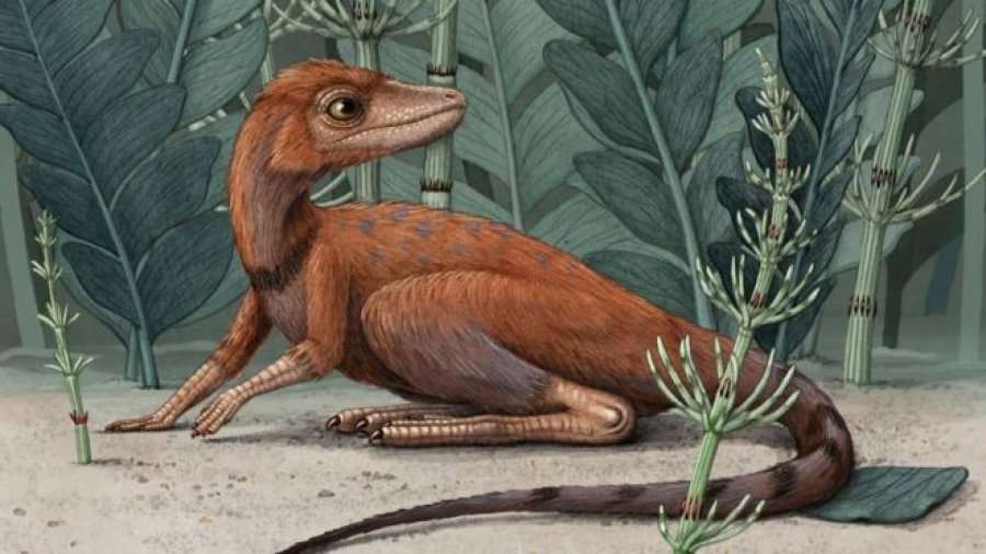 Paraardhësit e dinozaurit “mund të kenë qenë të vegjël”