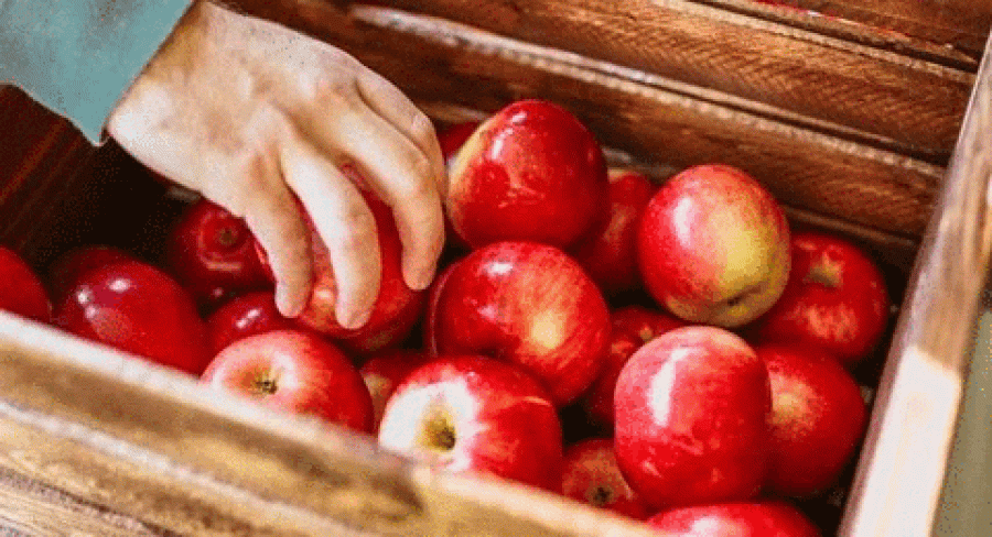Koronavirusi mund të jetojë në sipërfaqen e frutave dhe perimeve, ja çfarë të bëni përpara se ta konsumoni