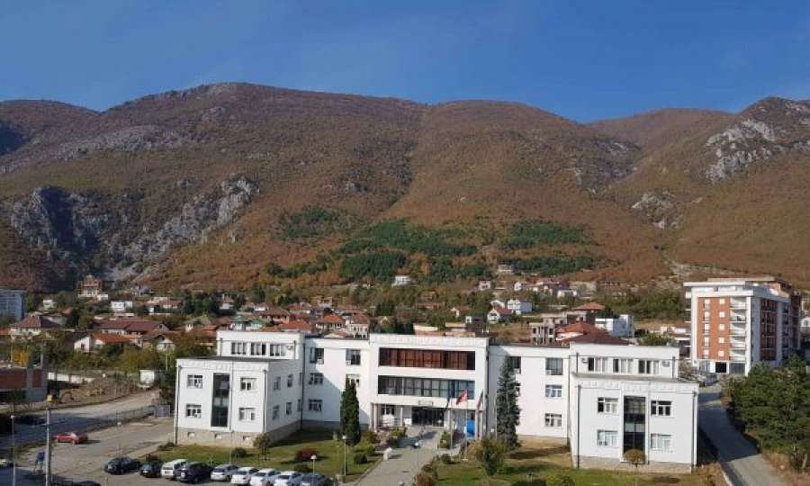 Dy burra të arrestuar në Istog për dhunë në familje