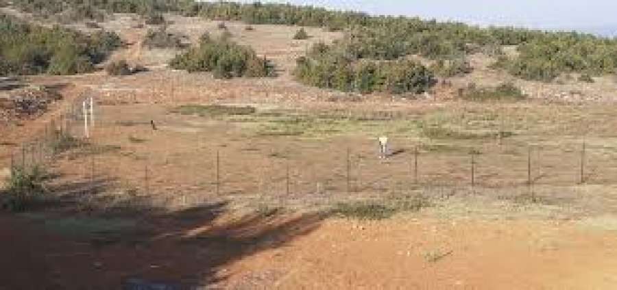 Burri nga Podujeva gjen eshtra në livadh, dyshohet se janë të njeriut