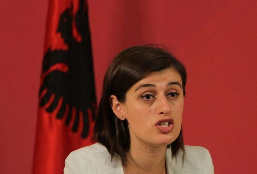 Do ta shtyjmë përpara projektligjin kundër dhunës në familje, thotë Bogujevci