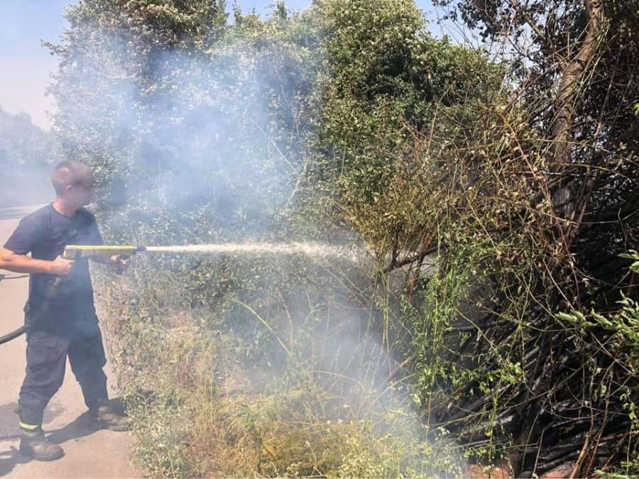 Ministria e Bujqësisë, apel qytetarëve për ruajtjen e pyjeve nga zjarri
