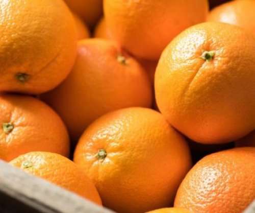 Cilat janë përfitimet e portokallit për shëndetin?