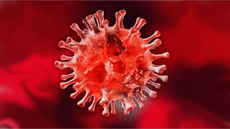 Varianti Omicron vazhdon të përhapet nëpër botë