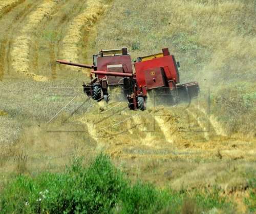 Drejtori i Bujqësisë në Malishevë kërkon sqarime nga Ministria për kriteret e subvencionimit të grurit