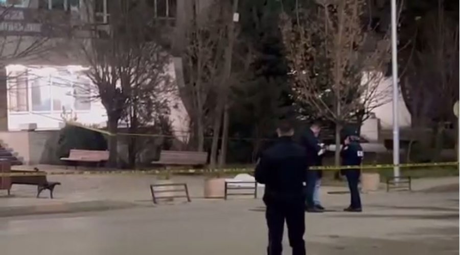 “Pasha këtë fëmijë që kam me lind sonte”, këto ishin fjalët e fundit të së ndjerës Hamide Magashi