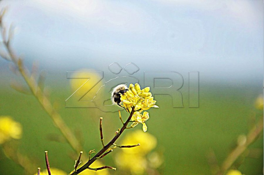 Ndryshojnë temperaturat, ky është parashikimi i motit për sot