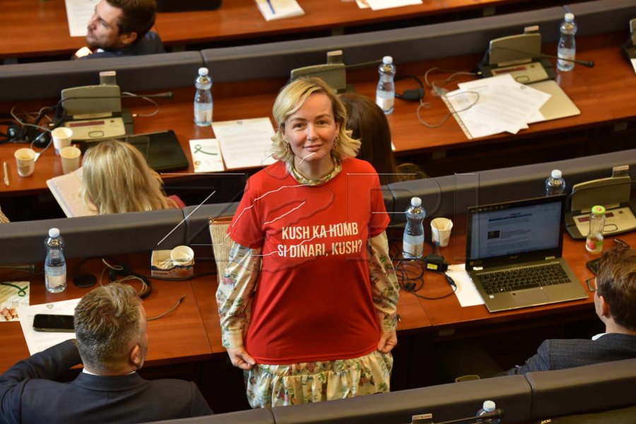 Deklarimi i pasurisë: Çfarë zotëron deputetja Adriana Matoshi?