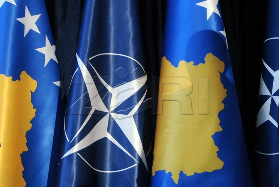 Gashi: Kosova barazohet në AP-NATO si shtetet tjera