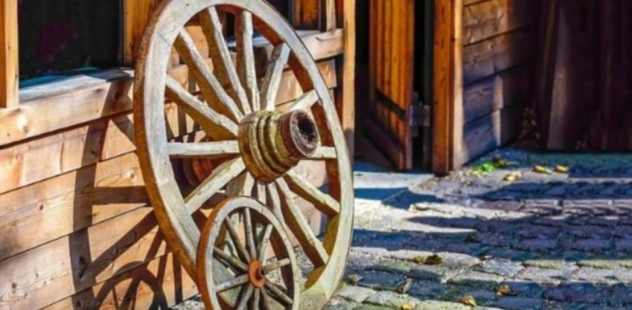 Rrota është një nga shpikjet më të mëdha në histori, shkencëtarët tani kanë një teori të re se kur dhe ku u krijua
