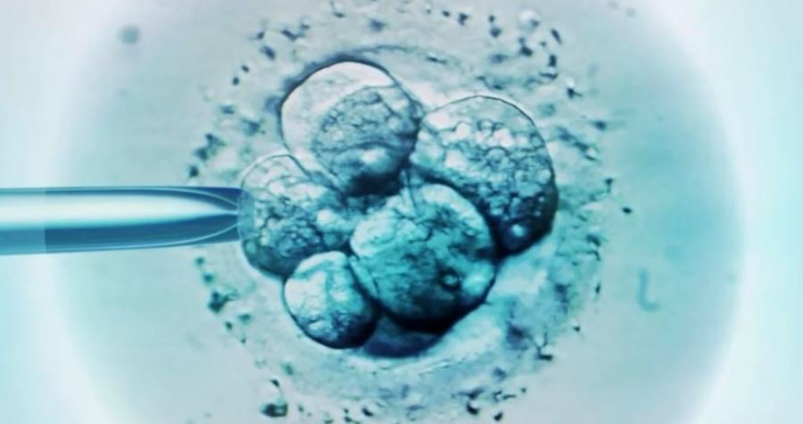 Ndodh çudia në Australi, gruaja lind fëmijën e gabuar: Klinika implantoi embrionin e një gruaje tjetër