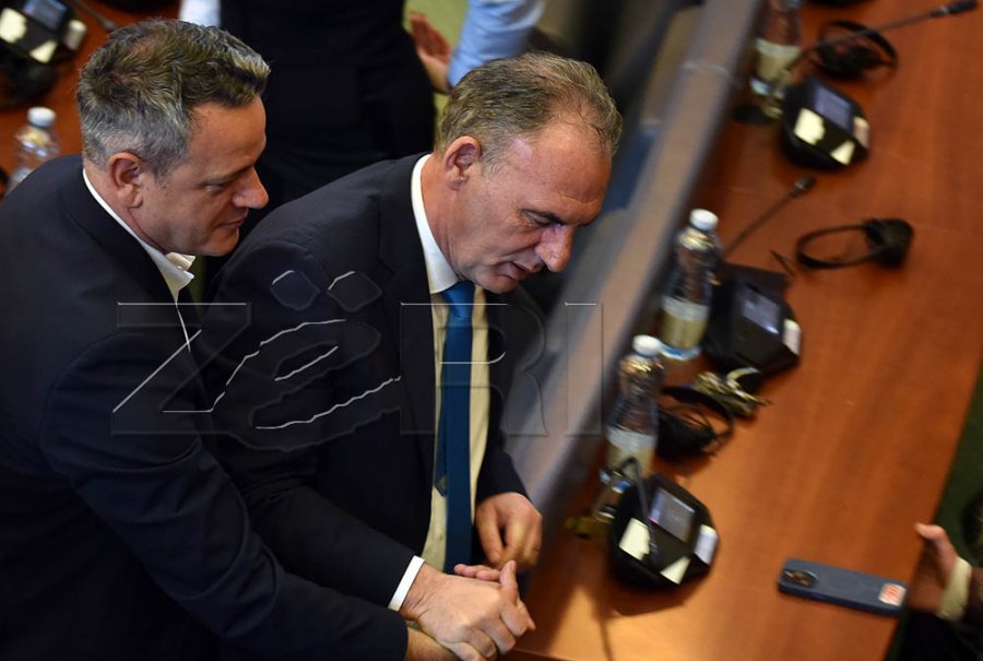 Deliu-Kodra: Qëndrimi i Nismës mund të ndryshojë sipas rrethanave politike