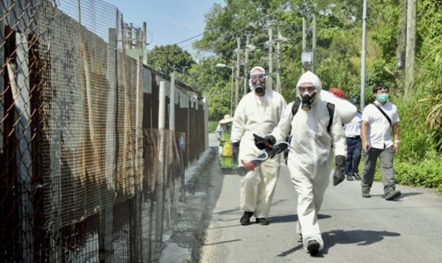 Kina raporton 7,000 raste të prekura me virusin “chikungunya”