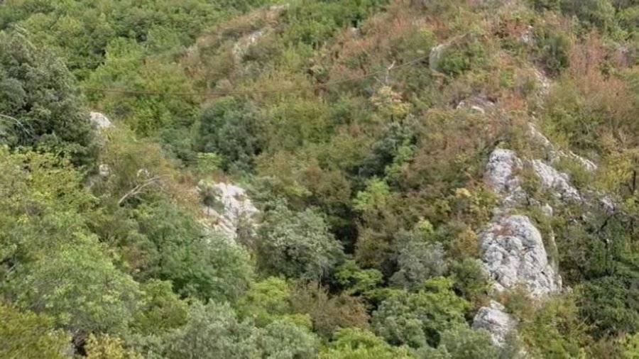 Zhduket 56-vjeçari nga Pashtreshi i Elbasanit, kërkimet vijojnë në kanionet e Valëshit