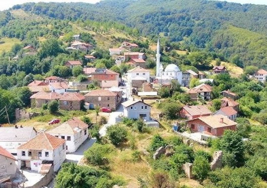 “Ditët e Struzhës” mbledhin bashkatdhetarët nga e gjithë diaspora