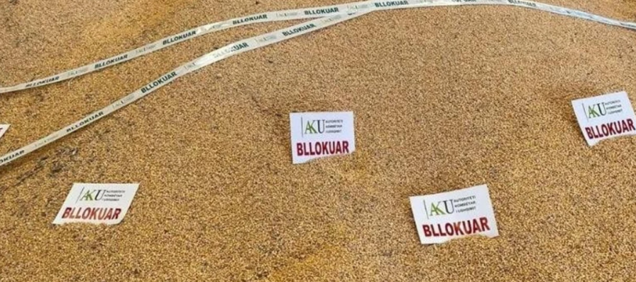 Shqipëria bllokon sërish misrin nga Serbia, konfirmohet prania e Aflatoksinës B1