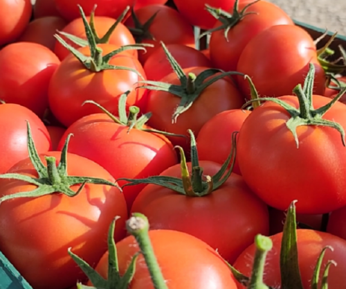 Kritika për sigurinë ushqimore, raporti i Progresit i BE-së për Shqipërinë vë në dukje dobësinë e sistemit të kontrollit