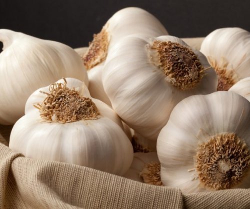 Hudhra, kura natyrale që lufton 14 infeksione të ndryshme