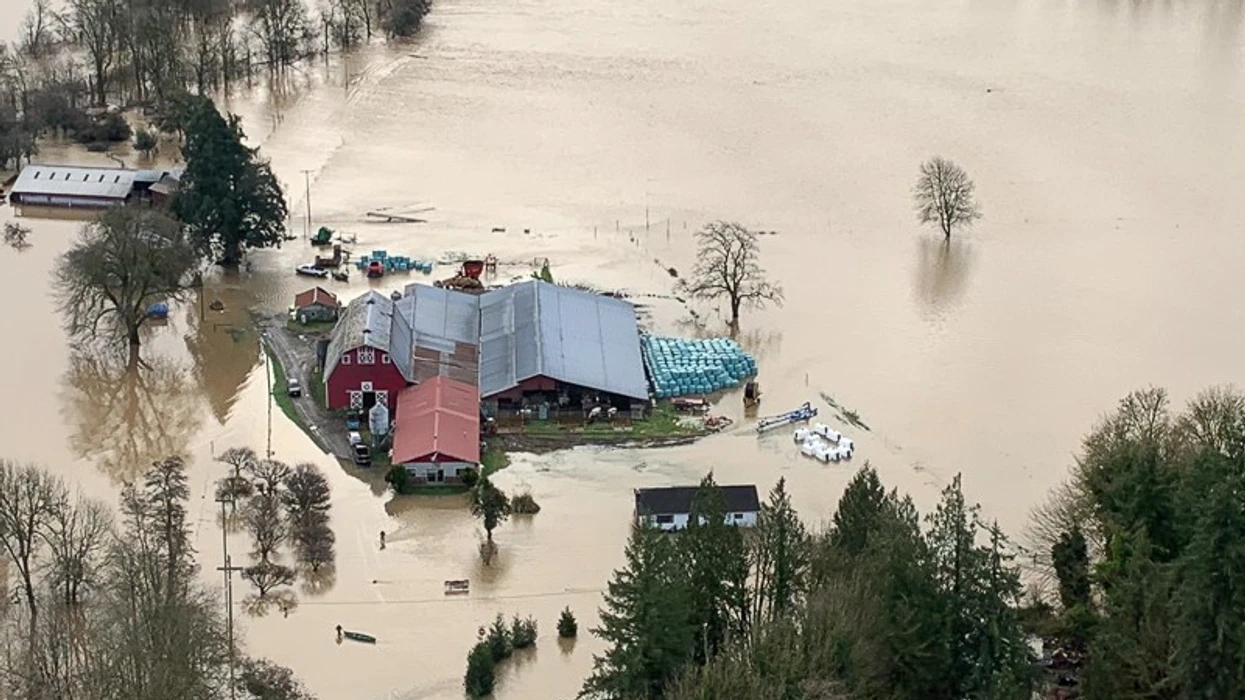 Përmbytje katastrofike në Washington, qytetarët urdhërohen të evakuohen menjëherë