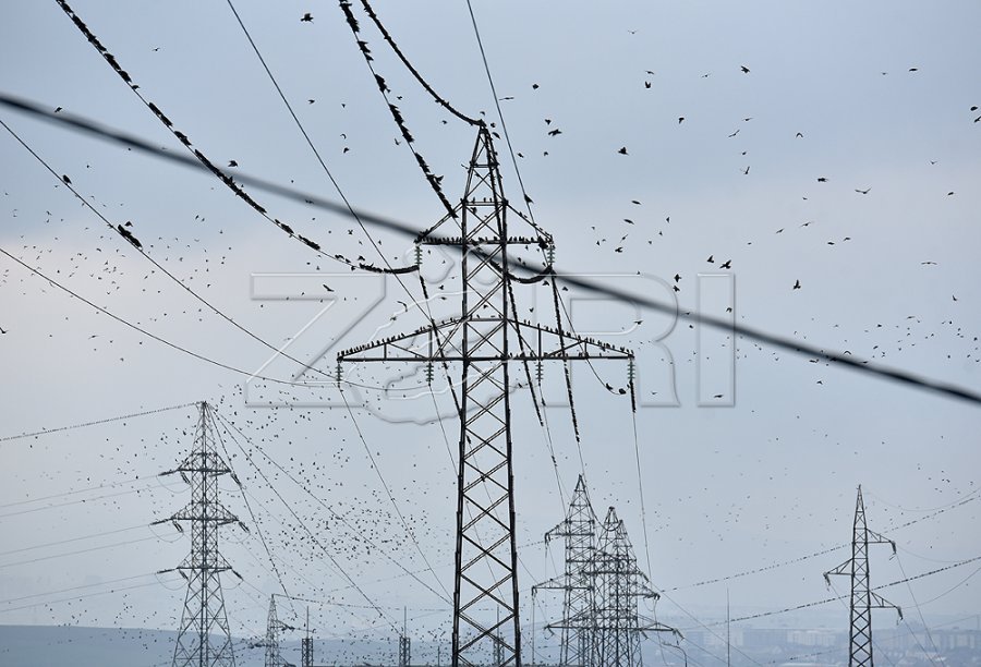 KOSTT-i nënshkruan kontratën për nënstacionin e ri 220 kV në Malishevë, investim mbi 6.7 milionë euro