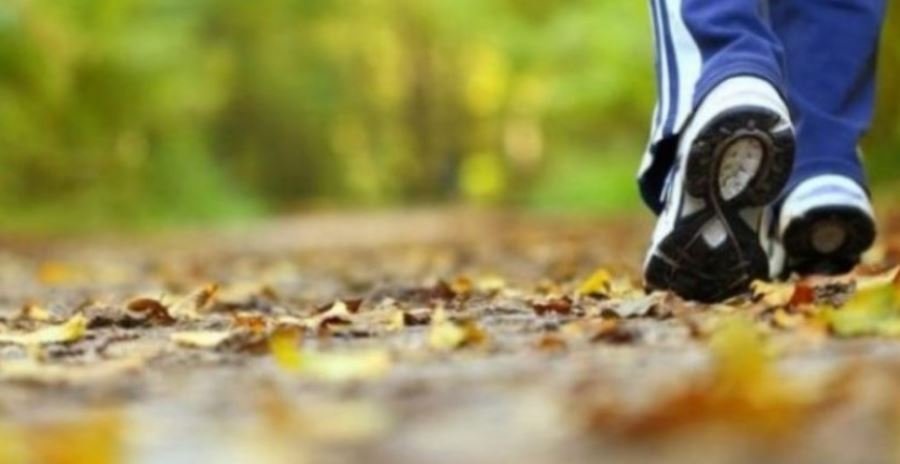 Ecja e shpejtë mund të ngadalësojë procesin biologjik të plakjes