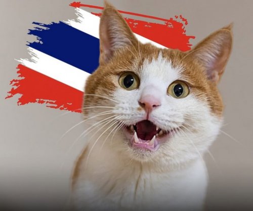 Macet tajlandeze shpallen zyrtarisht simbole kombëtare