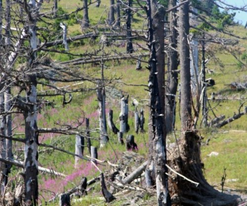 Ahmeti: Produktet pyjore jo drusore sjellin deri në 20 milionë euro eksport në vit