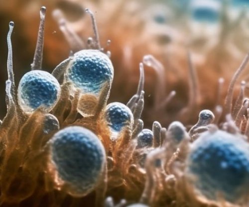 Gjurmët më të hershme kimike të jetës në Tokë zbulohen në shkëmbin 3.3 miliardë vjeçar