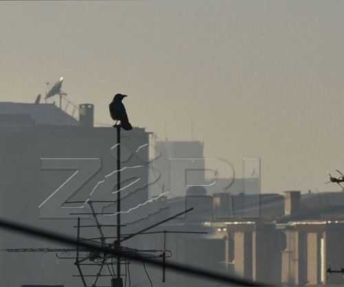 Ajri i ndotur në Kosovë, këshillohet që personat e ndjeshëm të shmangin daljet